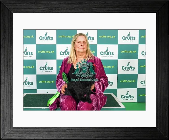 Framed Print : Delia Shepherd from Lower Kingsdown, with Fleaurs, a Affenpinscher, which was the Best of Breed winner today (Sunday 12. 03. 23), the last day of Crufts 2023, at the NEC Birmingham