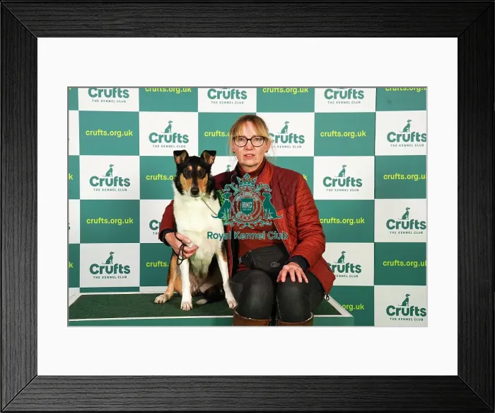 Framed Print : Jo Denton from Axminster with Lyra, a Collie (Smooth), which was the Best of Breed winner today (Friday 10. 03. 23), the second day of Crufts 2023, at the NEC Birmingham Framed Print : Jo Denton from Axminster with Lyra, a Collie (Smooth), which was the Best of Breed winner today (Friday 10. 03. 23), the second day of Crufts 2023, at the NEC Birmingham