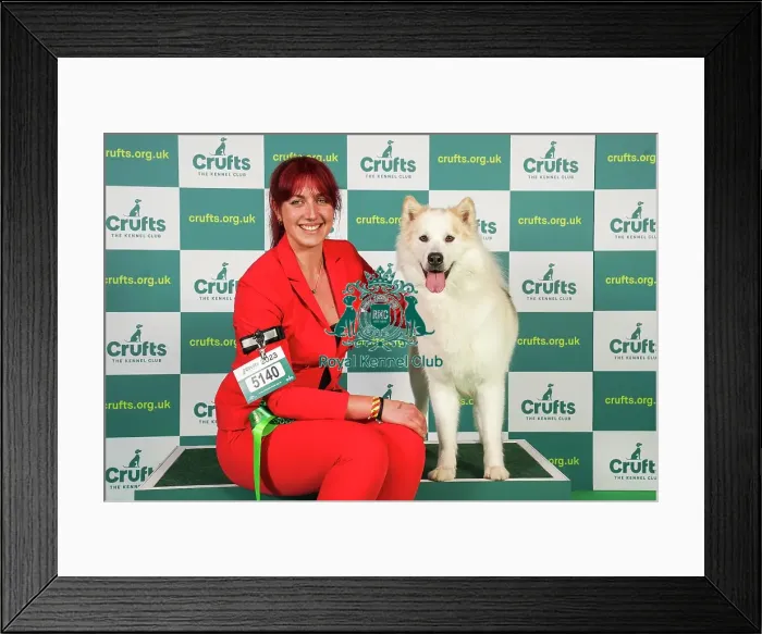 Framed Print : Yasmin Needham from Leicestershire with Nova, a Canadian Eskimo Dog, which was the Best of Breed winner today (Friday 10. 03. 23), the second day of Crufts 2023, at the NEC Birmingham Framed Print : Yasmin Needham from Leicestershire with Nova, a Canadian Eskimo Dog, which was the Best of Breed winner today (Friday 10. 03. 23), the second day of Crufts 2023, at the NEC Birmingham