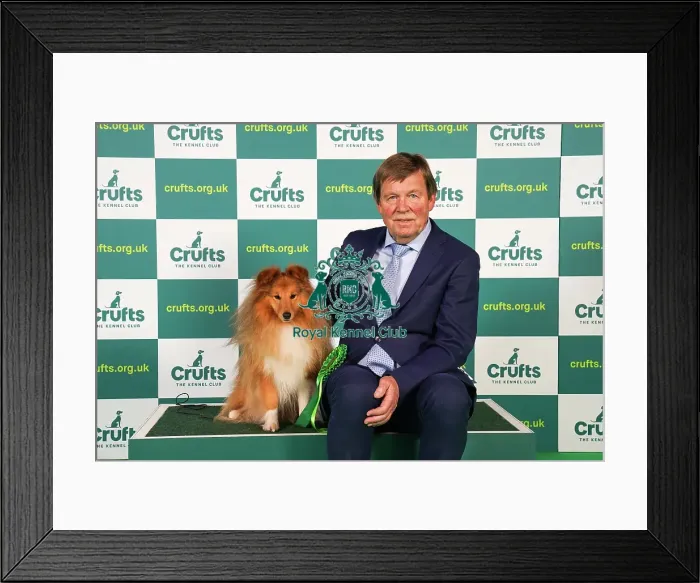 Framed Print : Finn Helge Olsen from Norway with Nicholas, Shetland Sheepdog, which was the Best of Breed winner today (Friday 10. 03. 23), the second day of Crufts 2023, at the NEC Birmingham Framed Print : Finn Helge Olsen from Norway with Nicholas, Shetland Sheepdog, which was the Best of Breed winner today (Friday 10. 03. 23), the second day of Crufts 2023, at the NEC Birmingham