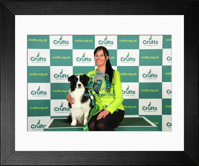 Framed Print : Timea Solyom from Hungary with Lenor, a Border Collie, which was the Best of Breed winner today (Friday 10. 03. 23), the second day of Crufts 2023, at the NEC Birmingham Framed Print : Timea Solyom from Hungary with Lenor, a Border Collie, which was the Best of Breed winner today (Friday 10. 03. 23), the second day of Crufts 2023, at the NEC Birmingham
