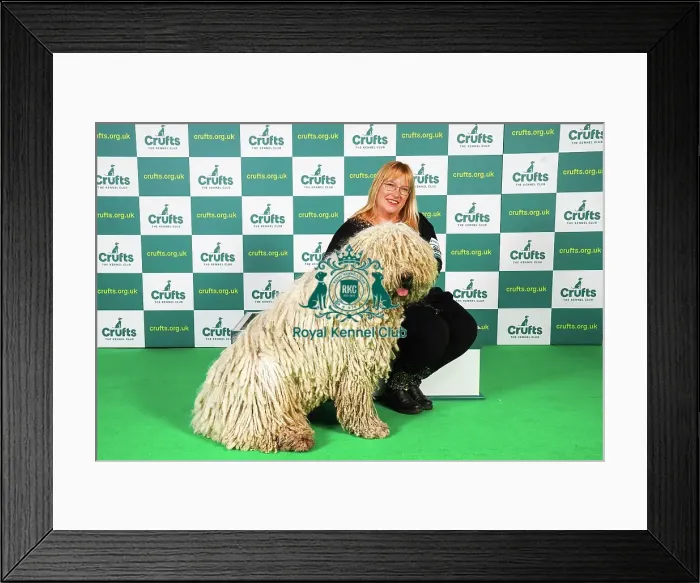 Framed Print : Melinda Talpai from Hungary with Bandita, a Komondor, which was the Best of Breed winner today (Friday 10. 03. 23), the second day of Crufts 2023, at the NEC Birmingham Framed Print : Melinda Talpai from Hungary with Bandita, a Komondor, which was the Best of Breed winner today (Friday 10. 03. 23), the second day of Crufts 2023, at the NEC Birmingham