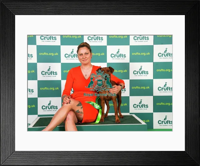 Framed Print : Yasmin Muthias from Germany with Effie, a German Pinscher, which was the Best of Breed winner today (Friday 10. 03. 23), the second day of Crufts 2023, at the NEC Birmingham Framed Print : Yasmin Muthias from Germany with Effie, a German Pinscher, which was the Best of Breed winner today (Friday 10. 03. 23), the second day of Crufts 2023, at the NEC Birmingham