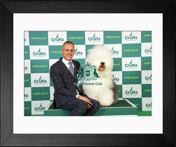 Framed Print : Nikolas Kanals Matteo Autolitano from Greece / Italy with Blondie, an Old English Sheepdog, which was the Best of Breed winner today (Friday 10. 03. 23), the second day of Crufts 2023, at the NEC Birmingham Framed Print : Nikolas Kanals Matteo Autolitano from Greece / Italy with Blondie, an Old English Sheepdog, which was the Best of Breed winner today (Friday 10. 03. 23), the second day of Crufts 2023, at the NEC Birmingham