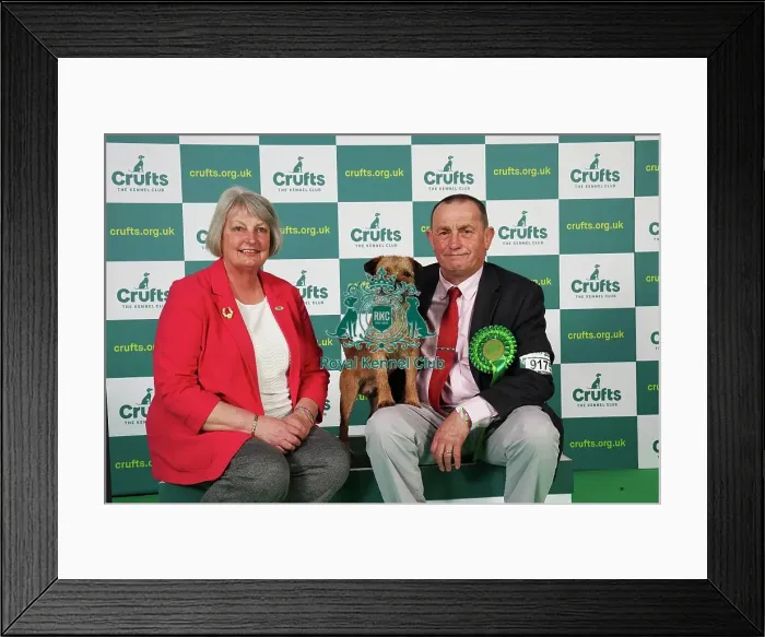 Framed Print : Hilary and Jimmy Gilpin from Arnside with Boots, a Border Terrier, which was the Best of Breed winner today (Saturday 11. 03. 23), the third day of Crufts 2023, at the NEC Birmingham Framed Print : Hilary and Jimmy Gilpin from Arnside with Boots, a Border Terrier, which was the Best of Breed winner today (Saturday 11. 03. 23), the third day of Crufts 2023, at the NEC Birmingham