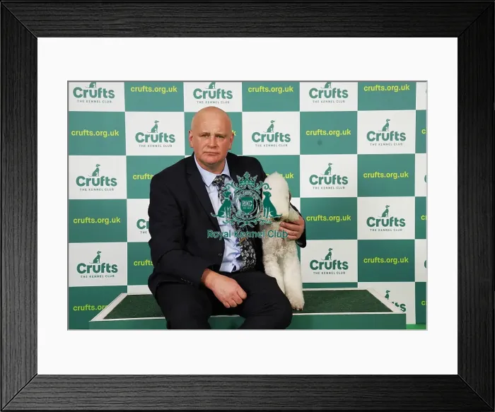 Framed Print : John McNally from Consett with Daisy, a Bedlington Terrier, which was the Best of Breed winner today (Saturday 11. 03. 23), the third day of Crufts 2023, at the NEC Birmingham Framed Print : John McNally from Consett with Daisy, a Bedlington Terrier, which was the Best of Breed winner today (Saturday 11. 03. 23), the third day of Crufts 2023, at the NEC Birmingham