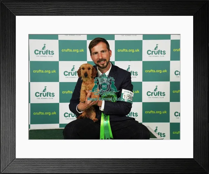 Framed Print : Noel Garrigos from Spain with Llimona, a Dachshund (Miniature Wire Haired), which was the Best of Breed winner today (Saturday 11. 03. 23), the third day of Crufts 2023, at the NEC Birmingham