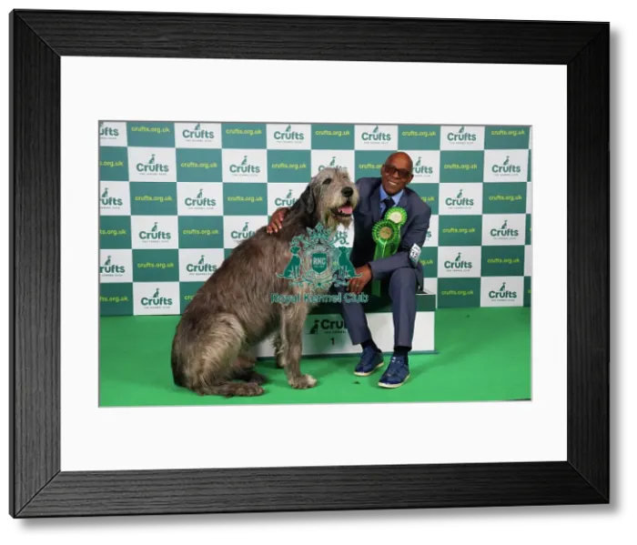 Framed Print : Chris Amoo from Cheshire with Paris, an Irish Wolfhound, which was the Best of Breed winner today (Saturday 11. 03. 23), the third day of Crufts 2023, at the NEC Birmingham Framed Print : Chris Amoo from Cheshire with Paris, an Irish Wolfhound, which was the Best of Breed winner today (Saturday 11. 03. 23), the third day of Crufts 2023, at the NEC Birmingham