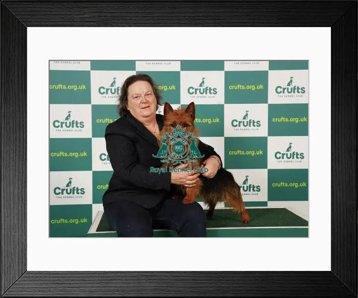 Framed Print : Ruth Jones from Midwales with Blake, a Australian Terrier, which was the Best of Breed winner today (Saturday 11. 03. 23), the third day of Crufts 2023, at the NEC Birmingham Framed Print : Ruth Jones from Midwales with Blake, a Australian Terrier, which was the Best of Breed winner today (Saturday 11. 03. 23), the third day of Crufts 2023, at the NEC Birmingham