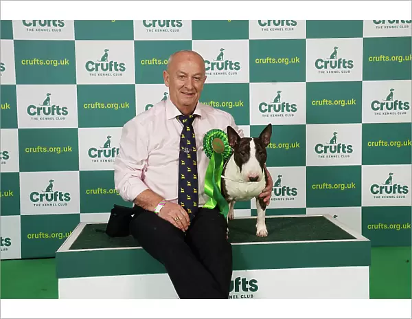 Ger Cox from Ireland with Jerry, a Bull Terrier (Miniature), which was the Best of Breed winner today (Saturday 11. 03. 23), the third day of Crufts 2023, at the NEC Birmingham