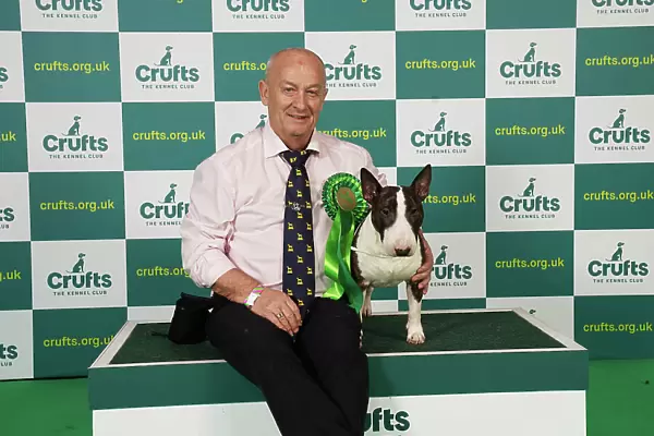 Ger Cox from Ireland with Jerry, a Bull Terrier (Miniature), which was the Best of Breed winner today (Saturday 11. 03. 23), the third day of Crufts 2023, at the NEC Birmingham