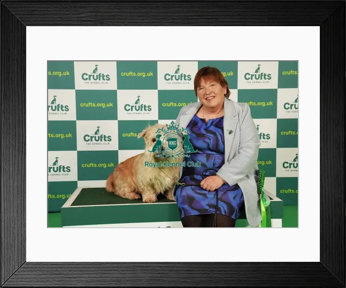 Framed Print : Marie McNally from Wexford with Karma, a Glen of Imaal Terrier, which was the Best of Breed winner today (Saturday 11. 03. 23), the third day of Crufts 2023, at the NEC Birmingham Framed Print : Marie McNally from Wexford with Karma, a Glen of Imaal Terrier, which was the Best of Breed winner today (Saturday 11. 03. 23), the third day of Crufts 2023, at the NEC Birmingham
