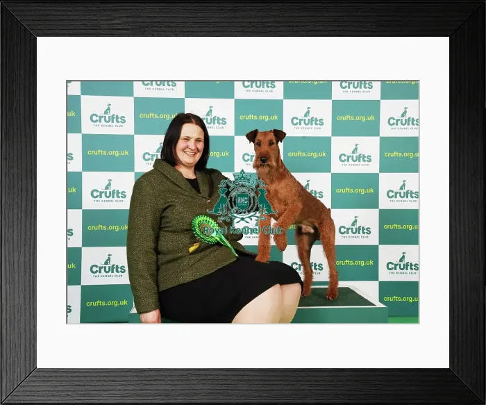 Framed Print : Karolin Schmidt from Germany with Dante, an Irish Terrier, which was the Best of Breed winner today (Saturday 11. 03. 23), the third day of Crufts 2023, at the NEC Birmingham Framed Print : Karolin Schmidt from Germany with Dante, an Irish Terrier, which was the Best of Breed winner today (Saturday 11. 03. 23), the third day of Crufts 2023, at the NEC Birmingham
