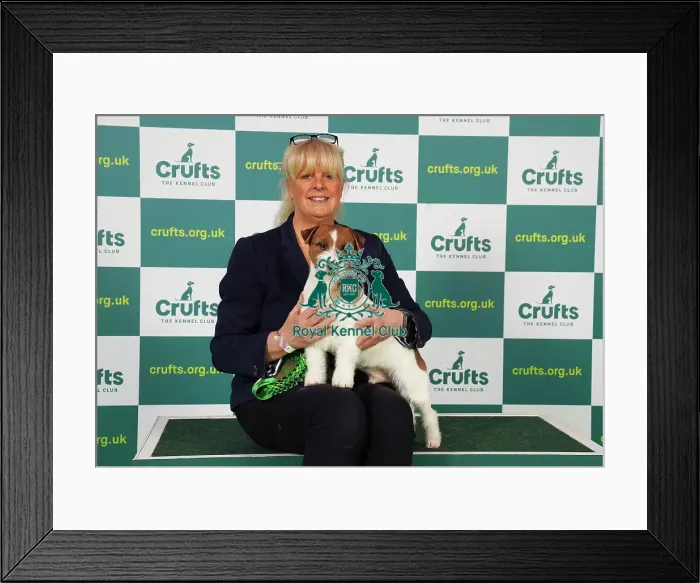 Framed Print : Deb Ryan from Stratfordshire with Gatsby, a Jack Russell Terrier, which was the Best of Breed winner today (Saturday 11. 03. 23), the third day of Crufts 2023, at the NEC Birmingham Framed Print : Deb Ryan from Stratfordshire with Gatsby, a Jack Russell Terrier, which was the Best of Breed winner today (Saturday 11. 03. 23), the third day of Crufts 2023, at the NEC Birmingham