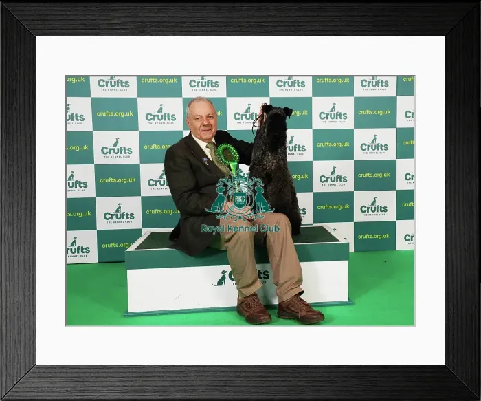 Framed Print : Paul Martin from Gloucestershire with Connie, a Kerry Blue Terrier, which was the Best of Breed winner today (Saturday 11. 03. 23), the third day of Crufts 2023, at the NEC Birmingham Framed Print : Paul Martin from Gloucestershire with Connie, a Kerry Blue Terrier, which was the Best of Breed winner today (Saturday 11. 03. 23), the third day of Crufts 2023, at the NEC Birmingham