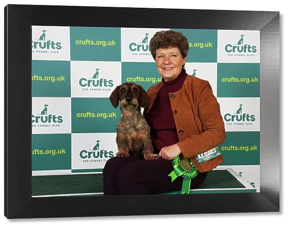 Kim McCalmont from Gloucestershire with Cherry, a Dachshund (Wire Haired), which was the Best of Breed winner today (Saturday 11. 03. 23), the third day of Crufts 2023, at the NEC Birmingham