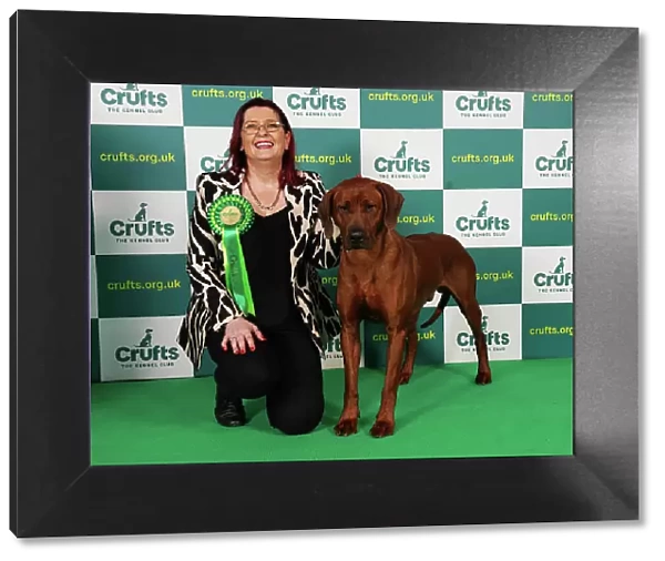 Jane Anthony from Northern Ireland with Khan, a Rhodesian Ridgeback, which was the Best of Breed winner today (Saturday 11. 03. 23), the third day of Crufts 2023, at the NEC Birmingham