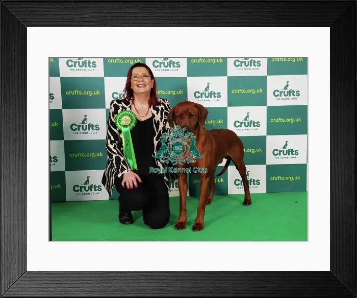 Framed Print : Jane Anthony from Northern Ireland with Khan, a Rhodesian Ridgeback, which was the Best of Breed winner today (Saturday 11. 03. 23), the third day of Crufts 2023, at the NEC Birmingham Framed Print : Jane Anthony from Northern Ireland with Khan, a Rhodesian Ridgeback, which was the Best of Breed winner today (Saturday 11. 03. 23), the third day of Crufts 2023, at the NEC Birmingham