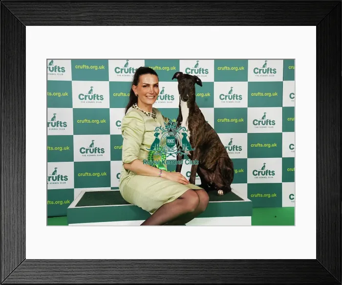 Framed Print : Ina Koulermou from Germany with Aya, a Great Hound, which was the Best of Breed winner today (Saturday 11. 03. 23), the third day of Crufts 2023, at the NEC Birmingham Framed Print : Ina Koulermou from Germany with Aya, a Great Hound, which was the Best of Breed winner today (Saturday 11. 03. 23), the third day of Crufts 2023, at the NEC Birmingham