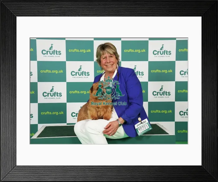 Framed Print : Ruth Gee from Worksop with Boozy, a Norfolk Terrier, which was the Best of Breed winner today (Saturday 11. 03. 23), the third day of Crufts 2023, at the NEC Birmingham
