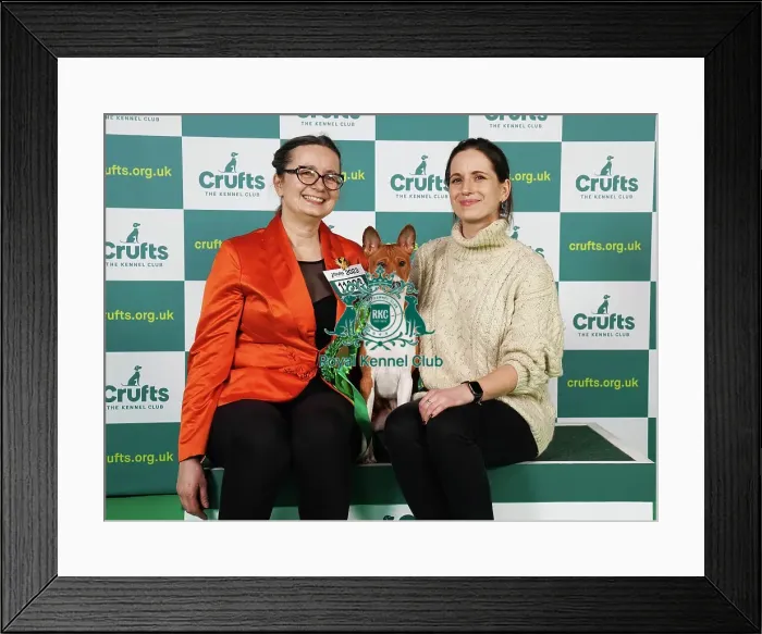 Framed Print : Dorata and Marter Muller from Poland with Poppy, a Basenji, which was the Best of Breed winner today (Saturday 11. 03. 23), the third day of Crufts 2023, at the NEC Birmingham Framed Print : Dorata and Marter Muller from Poland with Poppy, a Basenji, which was the Best of Breed winner today (Saturday 11. 03. 23), the third day of Crufts 2023, at the NEC Birmingham