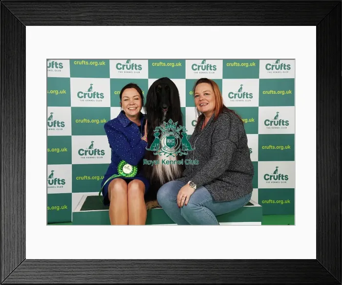 Framed Print : Claire Millward and Liz Millward from Sheffield with Alfie, an Afghan Hound, which was the Best of Breed winner today (Saturday 11. 03. 23), the third day of Crufts 2023, at the NEC Birmingham