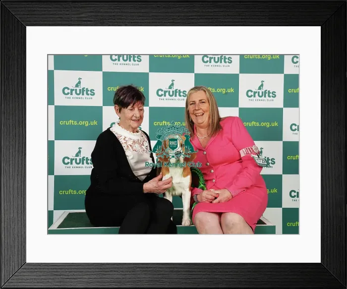 Framed Print : Linda and Pam Havard from Spalding with Tiana, a Beagle, which was the Best of Breed winner today (Saturday 11. 03. 23), the third day of Crufts 2023, at the NEC Birmingham Framed Print : Linda and Pam Havard from Spalding with Tiana, a Beagle, which was the Best of Breed winner today (Saturday 11. 03. 23), the third day of Crufts 2023, at the NEC Birmingham