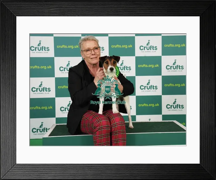Framed Print : Anne Karlsson from Sweden with Scott, a Parson Russell Terrier, which was the Best of Breed winner today (Saturday 11. 03. 23), the third day of Crufts 2023, at the NEC Birmingham Framed Print : Anne Karlsson from Sweden with Scott, a Parson Russell Terrier, which was the Best of Breed winner today (Saturday 11. 03. 23), the third day of Crufts 2023, at the NEC Birmingham
