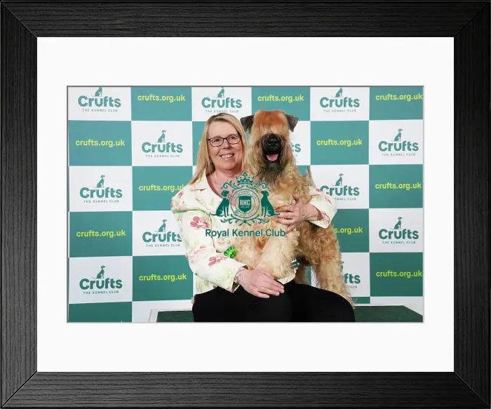 Framed Print : Jo Dowdy from Northampton with Hendricks, a Soft Coated Wheaten Terrier, which was the Best of Breed winner today (Saturday 11. 03. 23), the third day of Crufts 2023, at the NEC Birmingham