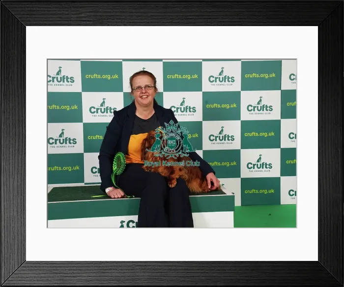 Framed Print : Lesley McNaughton from Irvine with Gaby, a Dachshund (Wire Haired), which was the Best of Breed winner today (Saturday 11. 03. 23), the third day of Crufts 2023, at the NEC Birmingham