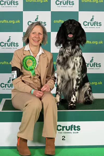 Annette Davis-Green from Worksop with Michael, a Large Munsterlander, which was the Best of Breed winner today (Thursday 09. 03. 23), the first day of Crufts 2023, at the NEC Birmingham