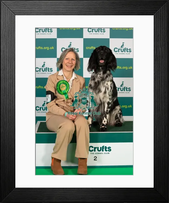 Framed Print : Annette Davis-Green from Worksop with Michael, a Large Munsterlander, which was the Best of Breed winner today (Thursday 09. 03. 23), the first day of Crufts 2023, at the NEC Birmingham Framed Print : Annette Davis-Green from Worksop with Michael, a Large Munsterlander, which was the Best of Breed winner today (Thursday 09. 03. 23), the first day of Crufts 2023, at the NEC Birmingham