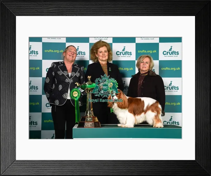 Framed Print : Tanya Ireland from Essex, with Dublin, a Cavalier King Charles Spaniel, which was the Best in Group winner today (Sunday 12. 03. 23), the last day of Crufts 2023, at the NEC Birmingham. Tanya Ireland from Essex, with Dublin Framed Print : Tanya Ireland from Essex, with Dublin, a Cavalier King Charles Spaniel, which was the Best in Group winner today (Sunday 12. 03. 23), the last day of Crufts 2023, at the NEC Birmingham. Tanya Ireland from Essex, with Dublin