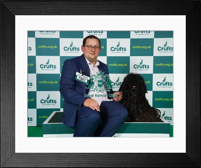 Framed Print : Andrew Henshaw from Northampton with Trixie, a Hungarian Puli, which was the Best of Breed winner today (Friday 10. 03. 23), the second day of Crufts 2023, at the NEC Birmingham Framed Print : Andrew Henshaw from Northampton with Trixie, a Hungarian Puli, which was the Best of Breed winner today (Friday 10. 03. 23), the second day of Crufts 2023, at the NEC Birmingham