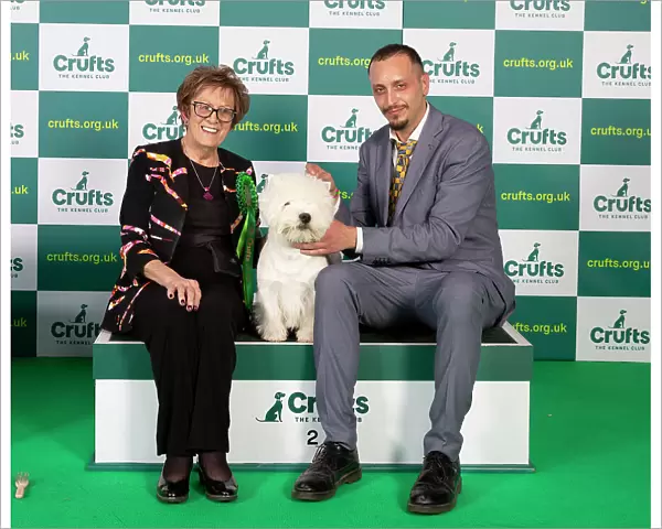 Best of breed West Highland White Terrier Crufts 2023