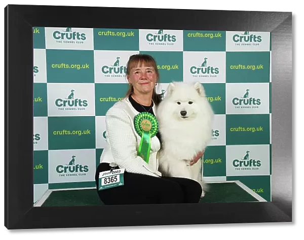 Barbara Johnson from Litchfield with Ella, a Samoyed, which was the Best of Breed winner today (Friday 10. 03. 23), the second day of Crufts 2023, at the NEC Birmingham