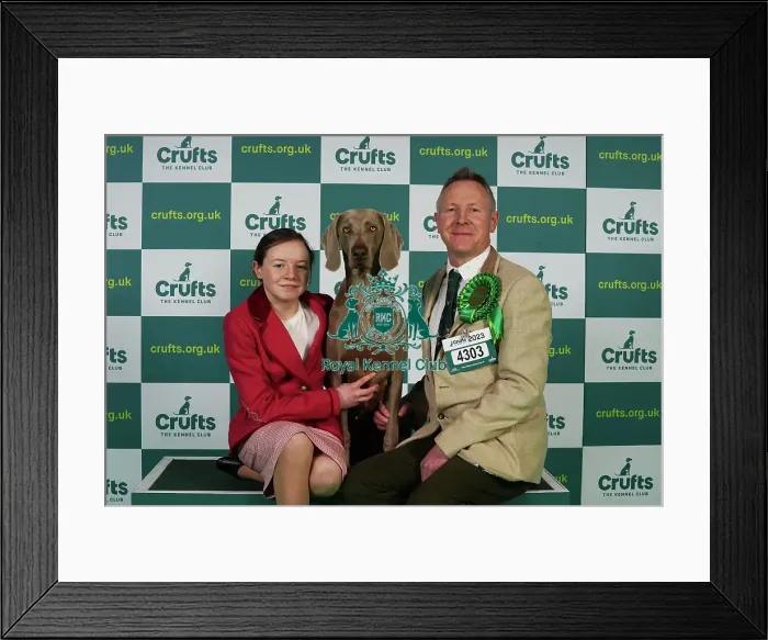 Framed Print : Dearbhla and Colin Nugent from Armagh with Didi, a Weimaraner, which was the Best of Breed winner today (Thursday 09. 03. 23), the first day of Crufts 2023, at the NEC Birmingham Framed Print : Dearbhla and Colin Nugent from Armagh with Didi, a Weimaraner, which was the Best of Breed winner today (Thursday 09. 03. 23), the first day of Crufts 2023, at the NEC Birmingham
