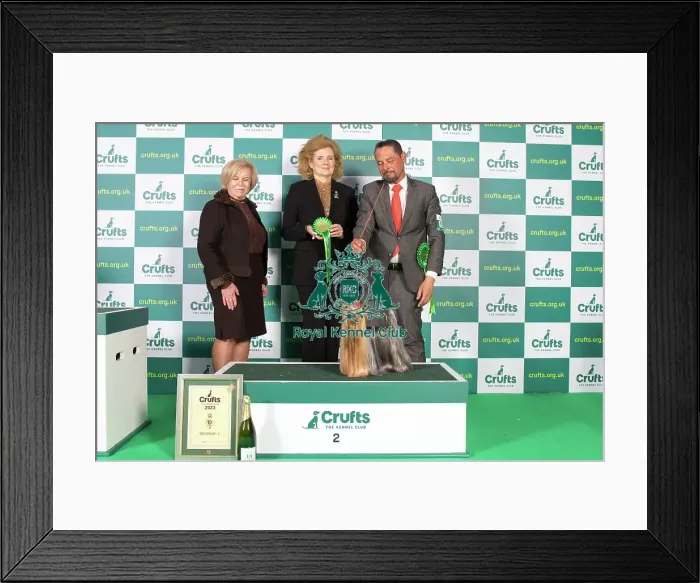 Framed Print : Toy Group 2nd Place Crufts 2023 Framed Print : Toy Group 2nd Place Crufts 2023