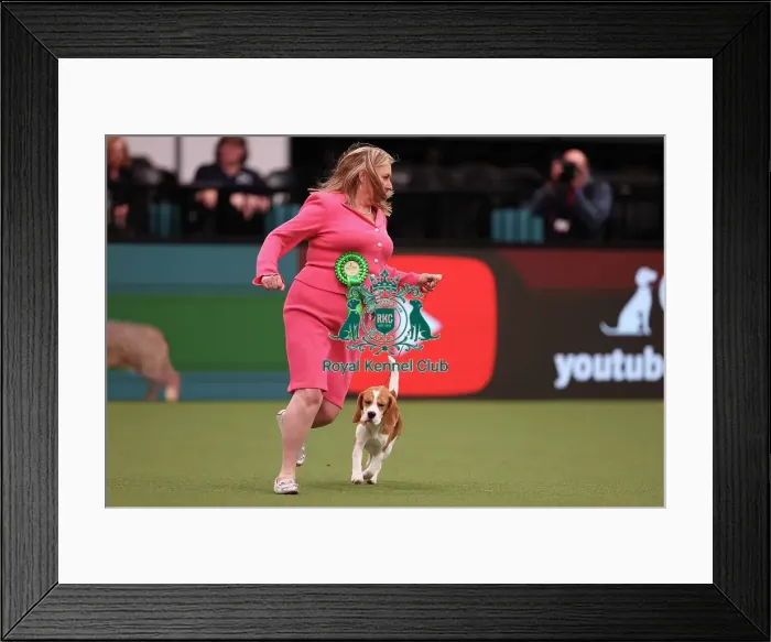 Framed Print : Linda and Pam Havard from Spalding with Tiana, a Beagle, which was the Best of Breed winner today (Saturday 11. 03. 23), the third day of Crufts 2023, at the NEC Birmingham Framed Print : Linda and Pam Havard from Spalding with Tiana, a Beagle, which was the Best of Breed winner today (Saturday 11. 03. 23), the third day of Crufts 2023, at the NEC Birmingham