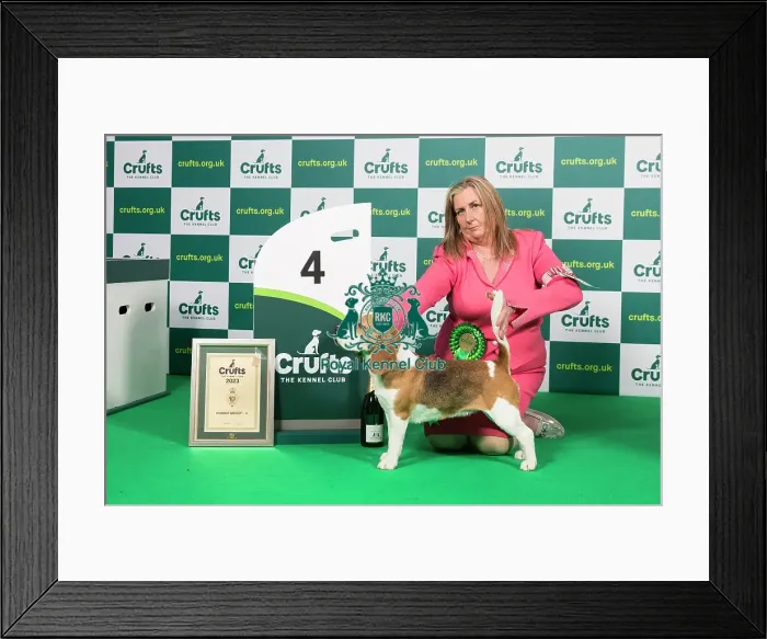 Framed Print : Hound Group 4th Place Crufts 2023