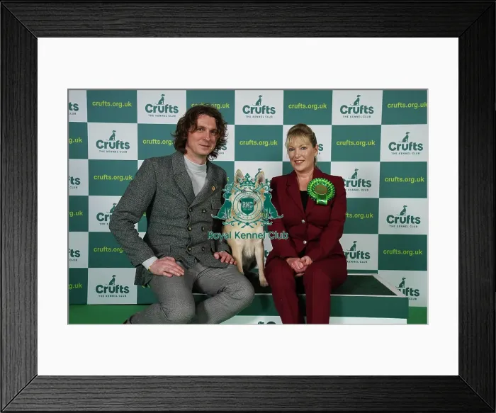 Framed Print : Marie Corin and Adam Camm from London with Borgen, a Norwegian Buhund, which was the Best of Breed winner today (Friday 10. 03. 23), the second day of Crufts 2023, at the NEC Birmingham Framed Print : Marie Corin and Adam Camm from London with Borgen, a Norwegian Buhund, which was the Best of Breed winner today (Friday 10. 03. 23), the second day of Crufts 2023, at the NEC Birmingham