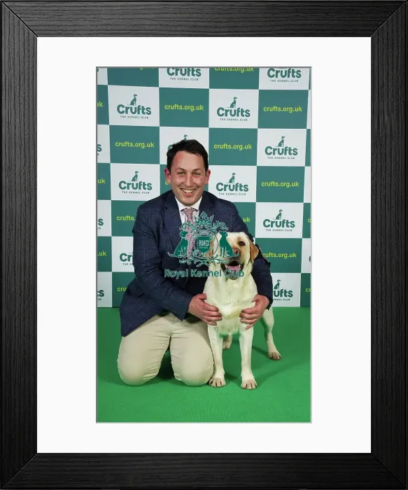 Framed Print : Ed Cassey from South Warwickshire with Ada, a Labrador, which was the Best of Breed winner today (Thursday 09. 03. 23), the first day of Crufts 2023, at the NEC Birmingham Framed Print : Ed Cassey from South Warwickshire with Ada, a Labrador, which was the Best of Breed winner today (Thursday 09. 03. 23), the first day of Crufts 2023, at the NEC Birmingham