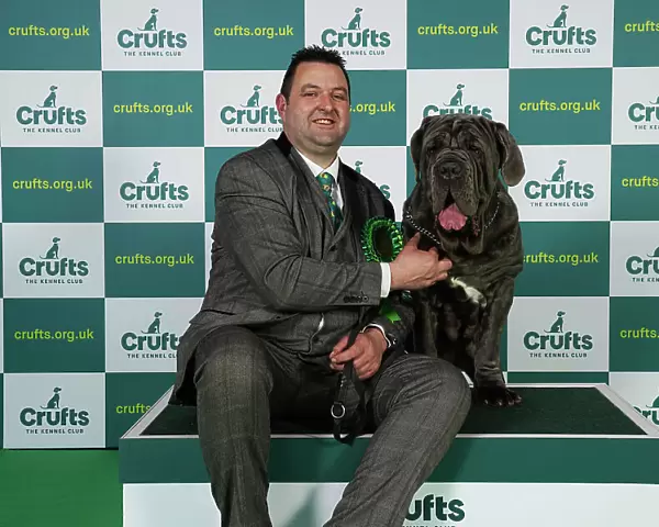 Mike Evans from Boston with Unica, a Neapolitan Mastiff, which was the Best of Breed winner today (Friday 10. 03. 23), the second day of Crufts 2023, at the NEC Birmingham