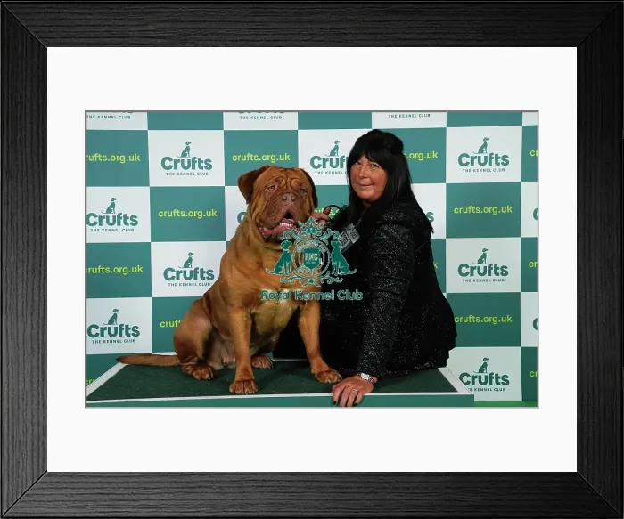 Framed Print : Kay Strong from Bolton with Gloria, a Dogue de Bordeaux, which was the Best of Breed winner today (Friday 10. 03. 23), the second day of Crufts 2023, at the NEC Birmingham Framed Print : Kay Strong from Bolton with Gloria, a Dogue de Bordeaux, which was the Best of Breed winner today (Friday 10. 03. 23), the second day of Crufts 2023, at the NEC Birmingham