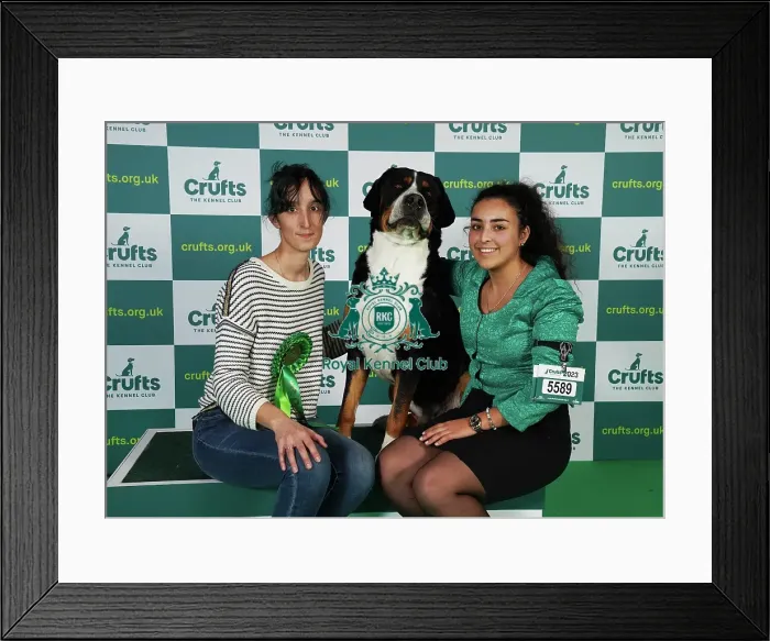 Framed Print : Sorignet Stephanie and Tansi Ylane from France with Mook, a Great Swiss Mountain Dog, which was the Best of Breed winner today (Friday 10. 03. 23), the second day of Crufts 2023, at the NEC Birmingham Framed Print : Sorignet Stephanie and Tansi Ylane from France with Mook, a Great Swiss Mountain Dog, which was the Best of Breed winner today (Friday 10. 03. 23), the second day of Crufts 2023, at the NEC Birmingham