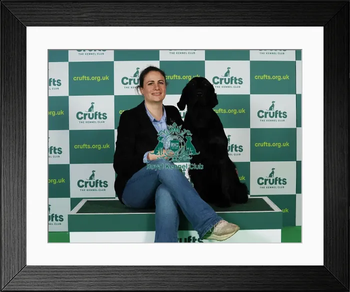 Framed Print : Ludovica Soresina from Italy with Chilkoot, a Retriever Flat Coated, which was the Best of Breed winner today (Thursday 09. 03. 23), the first day of Crufts 2023, at the NEC Birmingham