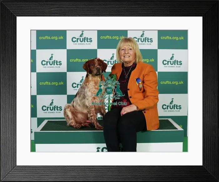Framed Print : Linda Graham from Cumbria with Kion, a Brittany, which was the Best of Breed winner today (Thursday 09. 03. 23), the first day of Crufts 2023, at the NEC Birmingham Framed Print : Linda Graham from Cumbria with Kion, a Brittany, which was the Best of Breed winner today (Thursday 09. 03. 23), the first day of Crufts 2023, at the NEC Birmingham