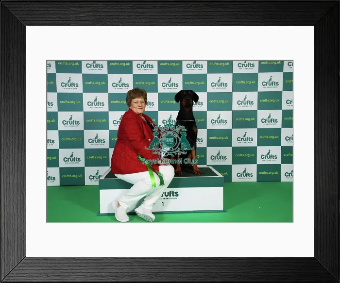 Framed Print : Mandy Everley from West Sussex with Archie, a Doberman, which was the Best of Breed winner today (Friday 10. 03. 23), the second day of Crufts 2023, at the NEC Birmingham Framed Print : Mandy Everley from West Sussex with Archie, a Doberman, which was the Best of Breed winner today (Friday 10. 03. 23), the second day of Crufts 2023, at the NEC Birmingham