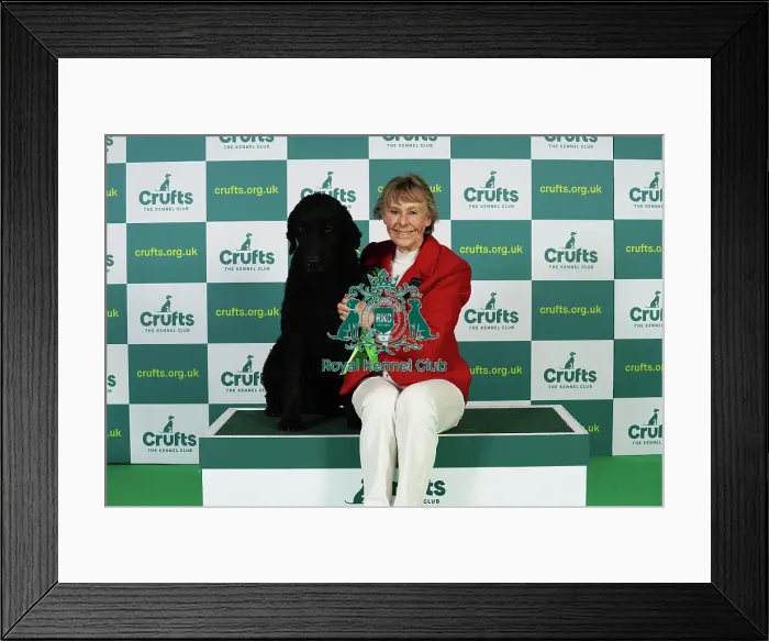 Framed Print : Maggie Stephens from Cynghordy with Tarzan, a Curly coated Retriever, which was the Best of Breed winner today (Thursday 09. 03. 23), the first day of Crufts 2023, at the NEC Birmingham Framed Print : Maggie Stephens from Cynghordy with Tarzan, a Curly coated Retriever, which was the Best of Breed winner today (Thursday 09. 03. 23), the first day of Crufts 2023, at the NEC Birmingham