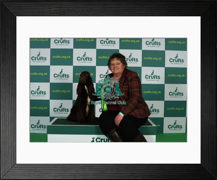 Framed Print : Gretel Osborn from Aylesbury with Esther, a Field Spaniel, which was the Best of Breed winner today (Thursday 09. 03. 23), the first day of Crufts 2023, at the NEC Birmingham